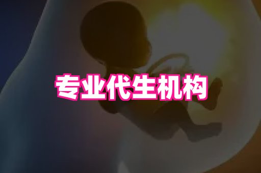 东莞助孕网站 2