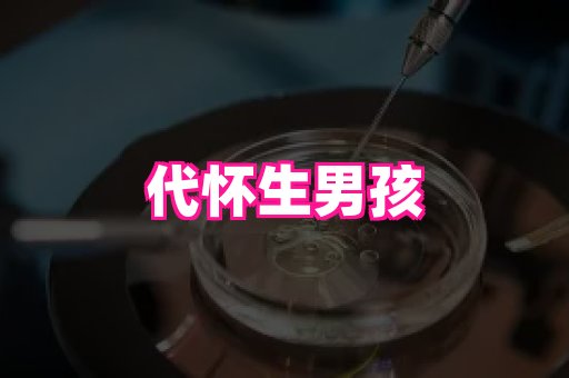 东莞助孕网站 3